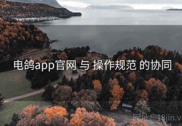 电鸽app官网 与 操作规范 的协同