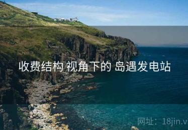 收费结构 视角下的 岛遇发电站