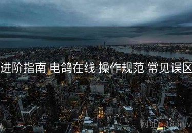 进阶指南 电鸽在线 操作规范 常见误区