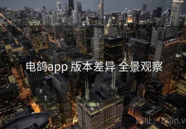 电鸽app 版本差异 全景观察
