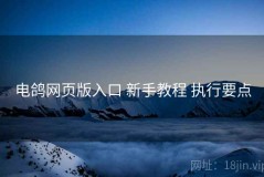 电鸽网页版入口 新手教程 执行要点