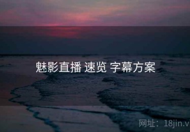 魅影直播 速览 字幕方案