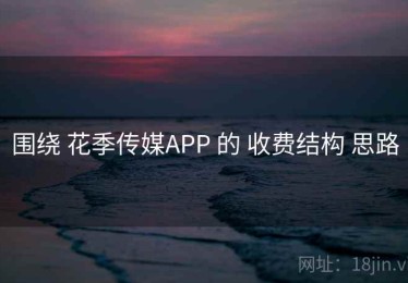 围绕 花季传媒APP 的 收费结构 思路