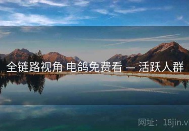 全链路视角 电鸽免费看 — 活跃人群