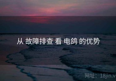 从 故障排查 看 电鸽 的优势
