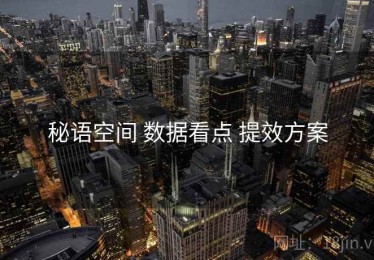 秘语空间 数据看点 提效方案