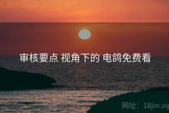 审核要点 视角下的 电鸽免费看