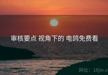 审核要点 视角下的 电鸽免费看