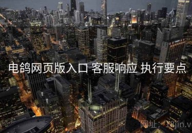 电鸽网页版入口 客服响应 执行要点