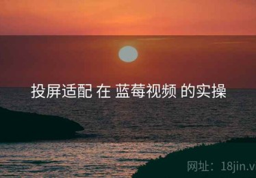 投屏适配 在 蓝莓视频 的实操