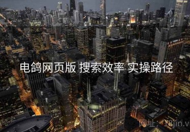 电鸽网页版 搜索效率 实操路径