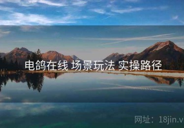电鸽在线 场景玩法 实操路径