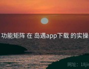 功能矩阵 在 岛遇app下载 的实操