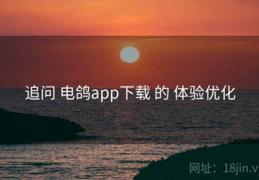 追问 电鸽app下载 的 体验优化