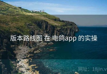 版本路线图 在 电鸽app 的实操