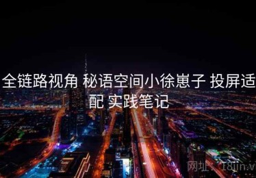 全链路视角 秘语空间小徐崽子 投屏适配 实践笔记
