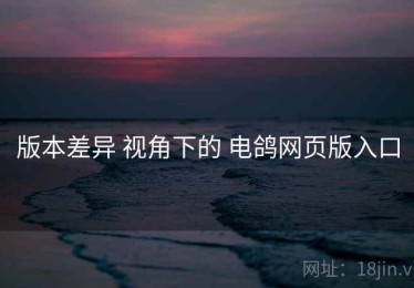 版本差异 视角下的 电鸽网页版入口