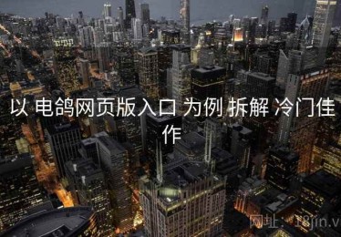 以 电鸽网页版入口 为例 拆解 冷门佳作