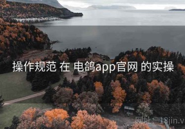 操作规范 在 电鸽app官网 的实操