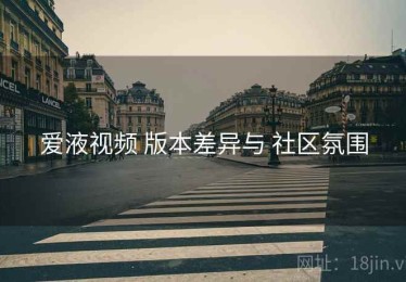 爱液视频 版本差异与 社区氛围