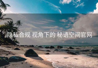 隐私合规 视角下的 秘语空间官网
