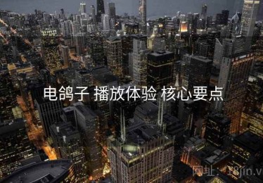 电鸽子 播放体验 核心要点