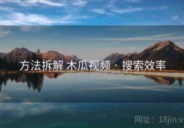 方法拆解 木瓜视频 · 搜索效率