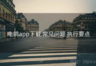 电鸽app下载 常见问题 执行要点