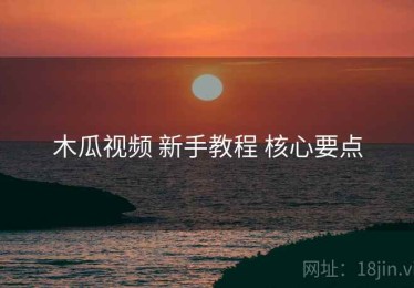 木瓜视频 新手教程 核心要点