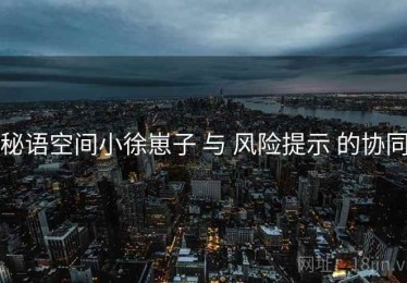 秘语空间小徐崽子 与 风险提示 的协同