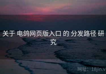 关于 电鸽网页版入口 的 分发路径 研究