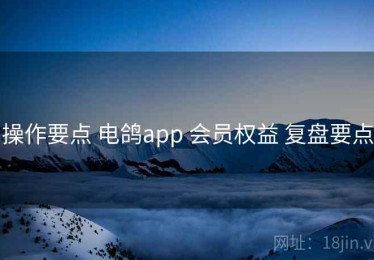 操作要点 电鸽app 会员权益 复盘要点