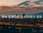 围绕 蓝莓视频 的 风险提示 思路