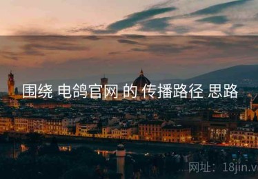 围绕 电鸽官网 的 传播路径 思路