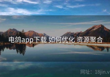 电鸽app下载 如何优化 资源聚合