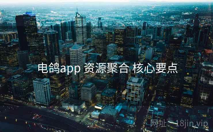电鸽app 资源聚合 核心要点