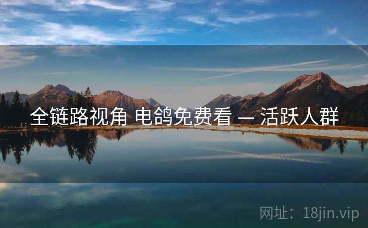全链路视角 电鸽免费看 — 活跃人群 全链路视角 电鸽免费看 — 活跃人群
