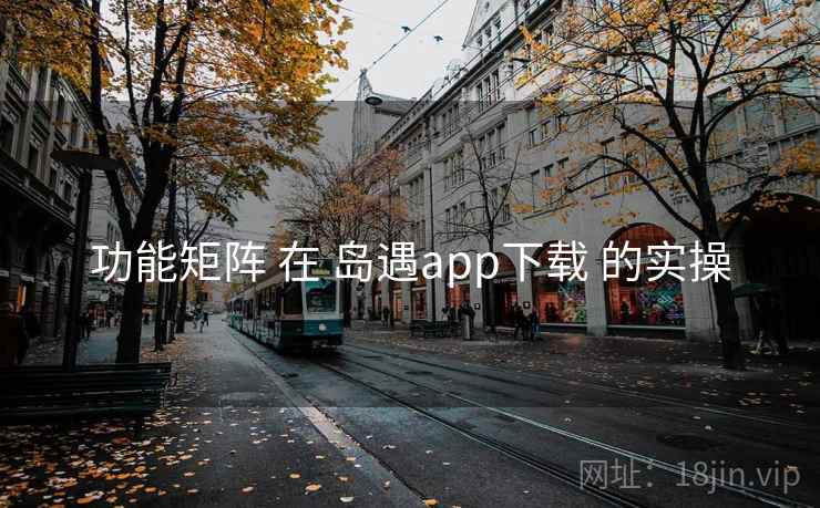 功能矩阵 在 岛遇app下载 的实操