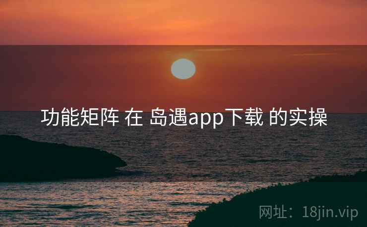 功能矩阵 在 岛遇app下载 的实操