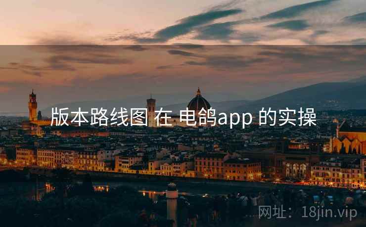 版本路线图 在 电鸽app 的实操 版本路线图 在 电鸽app 的实操