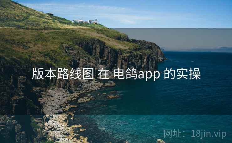 版本路线图 在 电鸽app 的实操 版本路线图 在 电鸽app 的实操
